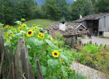 Schliersee - Wasmeier-Museum